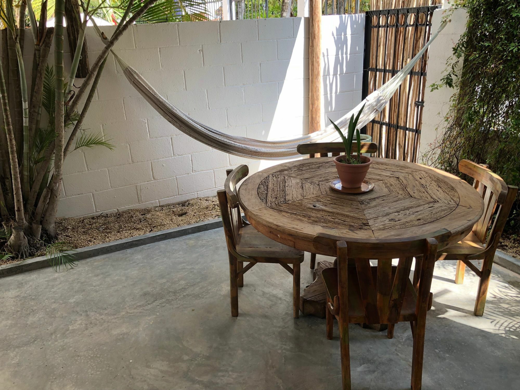 Casa La Palma B&B Playa del Carmen Exterior photo